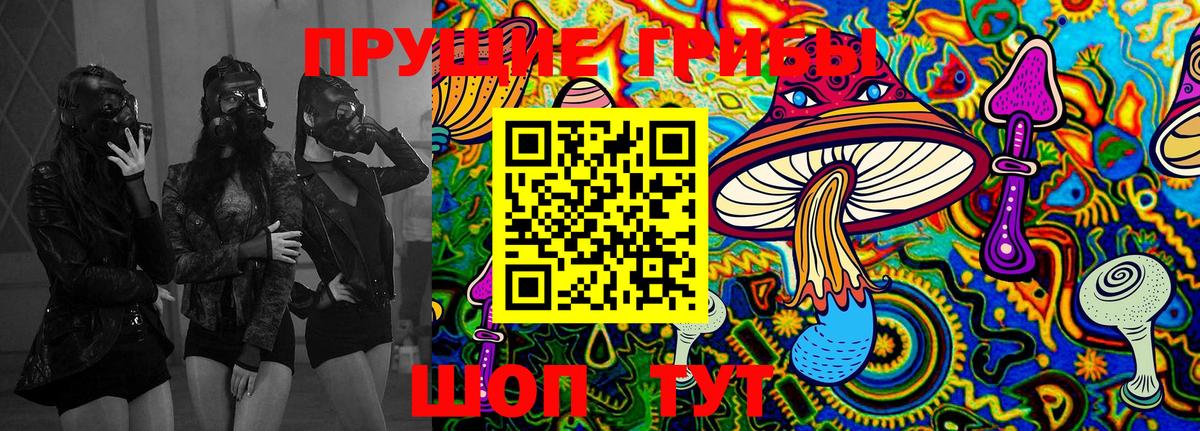 Псилоцибиновые грибы Psilocybe Наро-Фоминск